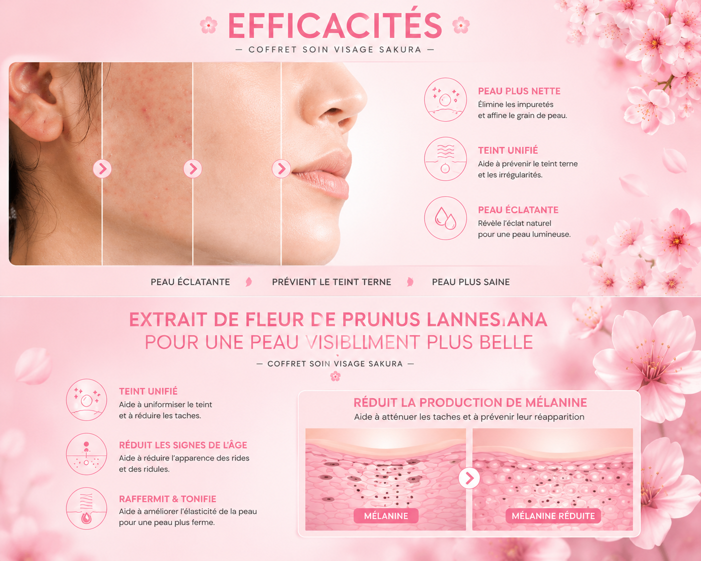 🌸 Coffret Soin Visage Sakura 5-en-1 | Routine Hydratante & Éclat de la Peau ✨